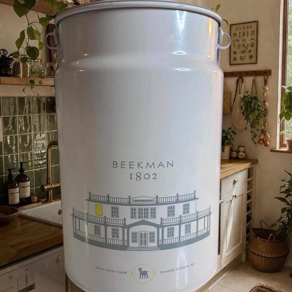 Adorable Beekman 1802 metal pail with a removable lid.